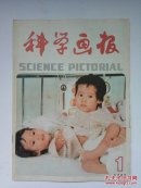 科学画报1985年第1期