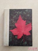新大98号英文原版书The Junior Encyclopedia of Canadad （Volume 1）大16开精装 1990年