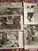 苏联美术作品 老相片式 画片 无格明信片 背面空白 有编号1-24 张 11.5*17.5cm