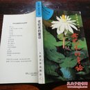 香港著名作家：梁凤仪财经小说文集 世纪末的童话