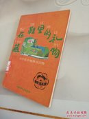 藏在鞋里的礼物（小学低年级拼音读物）  插图版