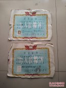（夹2-35）50年代山东初中毕业证书两张，尺寸35*26cm