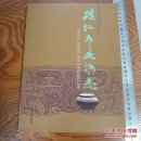 湛江市文物志 仅1千册 全彩色大量文物图 广州湾 法国 等 值得研究学习