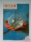 科学画报1985年第10期