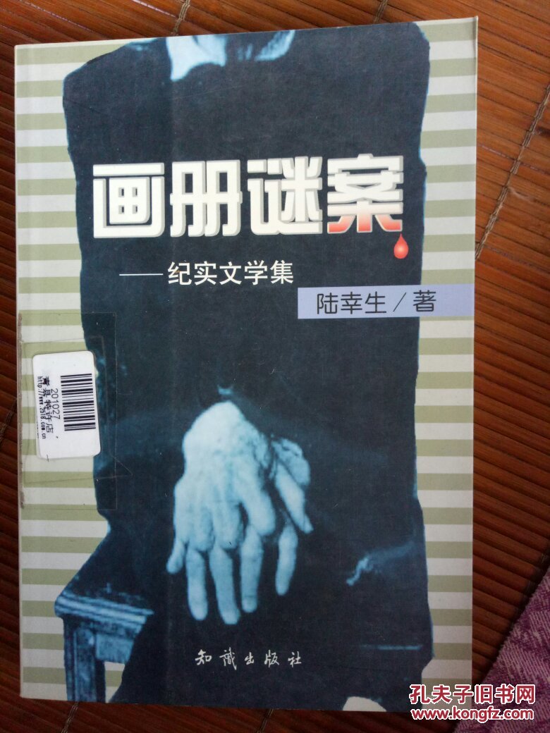 画册谜案:纪实文学集