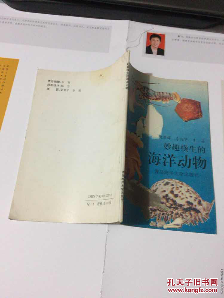 妙趣横生的海洋动物