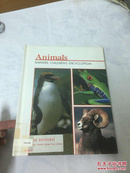 Animals