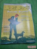 连环画报 2008.11