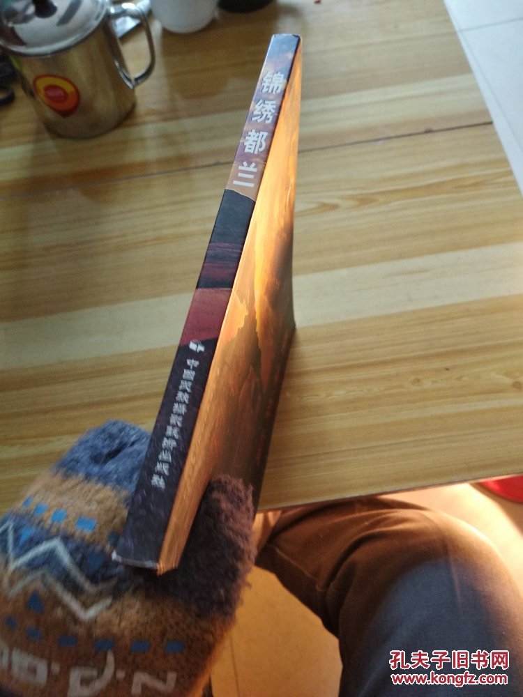 锦绣都兰 : 青海·都兰“太阳鸟”杯摄影大赛作品集       c24