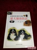 爱犬驯养图说