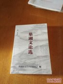 巢湖文论选