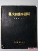 罗氏细菌学图解