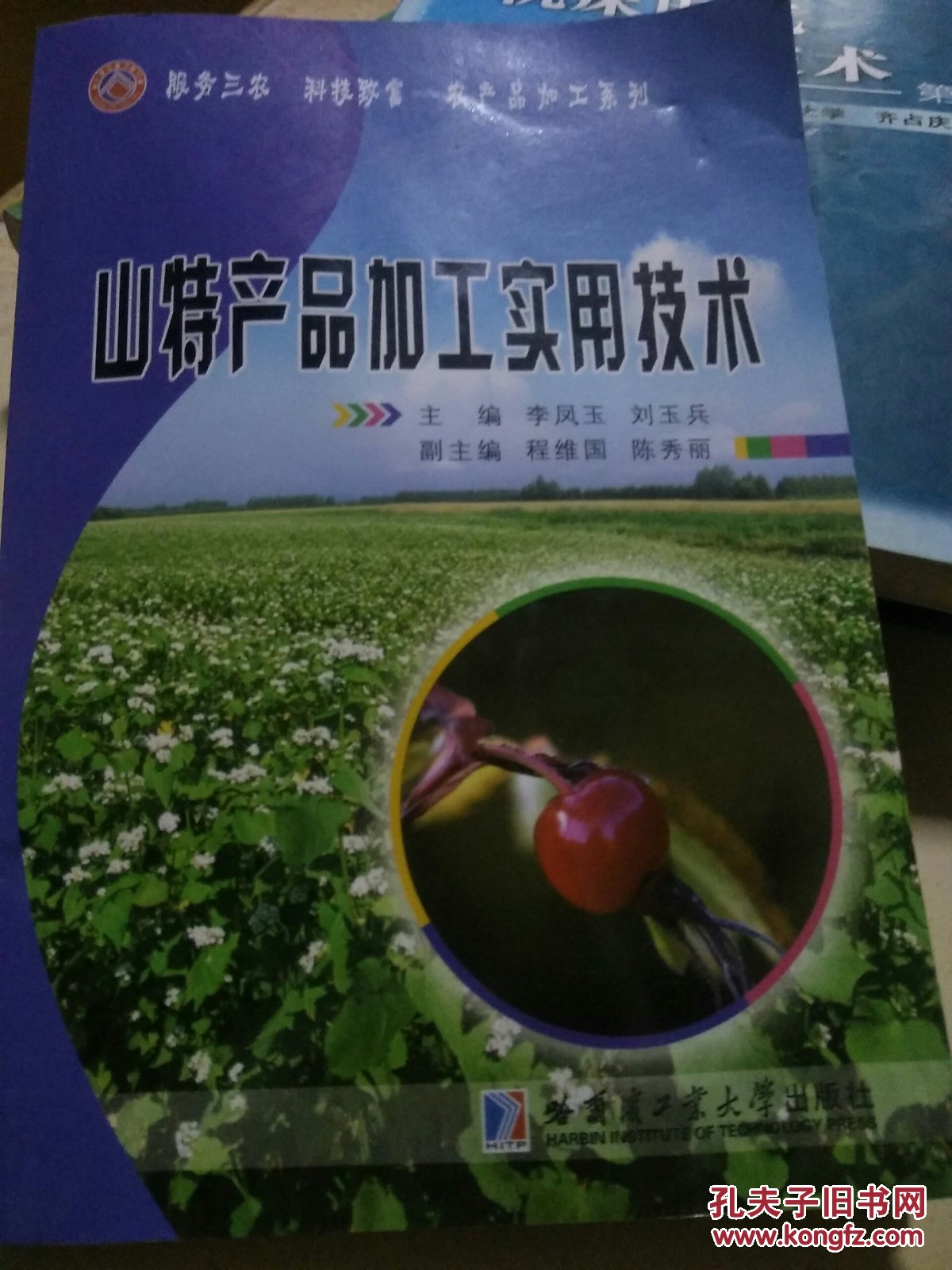 山特產(chǎn)品加工實(shí)用技術(shù)B1