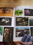 江西省首届摄影艺术节作品集       c24