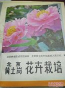 北京黄土岗花卉栽培