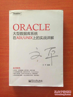 Oracle大型数据库系统在AIX/UNIX上的实战详解