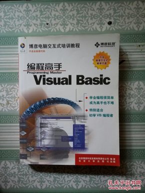 Visual Basic编程高手