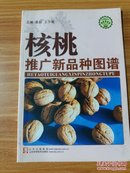 核桃推广新品种图谱