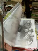 细节整体：素描静物塑造