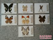 彩蝶标本(云南西双版纳标本80年代出)7张合售价 庄周梦蝶演绎逍遥游 梁祝化蝶記忆恋双飞