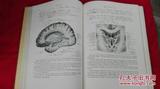 解剖学 V 神经、感觉器 改订第五版【精装本英日对照，每页都附有图片，1939年印刷】 吐凤堂书店