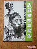 美院加油站·提高篇.头部解剖与写生