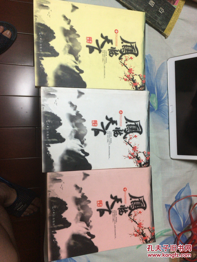 凤临天下（上中下）