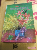 民間偏方與中草藥新用途(一版一印)