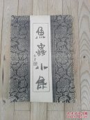 鱼蟲小集