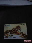 华南虎FMCC17951-IP-2004-04(1-1)