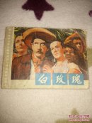 白玫瑰