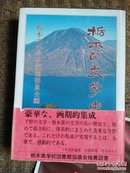 日文原版：《栃木の文学史》32开，精装609页