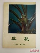 兰花（沈渊如 沈荫椿  著）