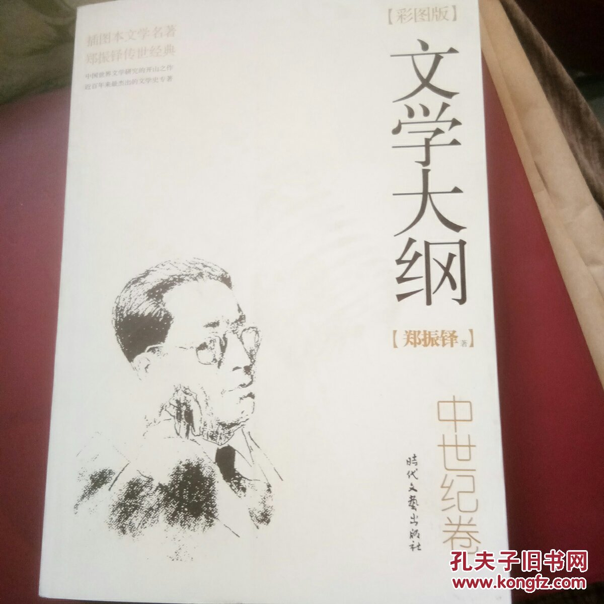 文学大纲：彩图版，中世纪卷