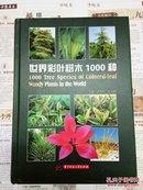 世界彩叶树木1000种 徐方