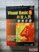 Visual Basic 5开发人员参考手册