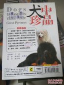 犬中珍品  dvd