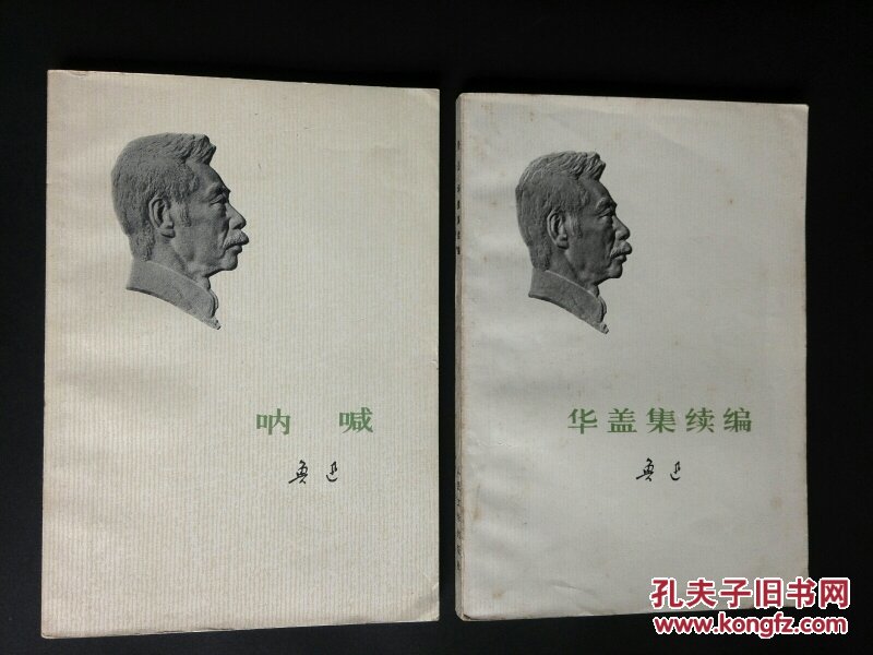 呐喊 华盖集续编(非馆藏)