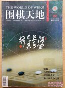 围棋天地（2010.22）