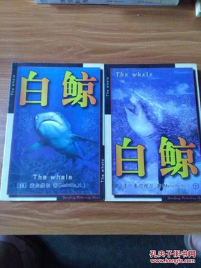 世界文学名著百部全书：白鲸 上下