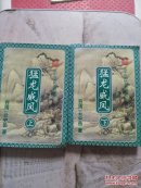 猛龙威风（上下）