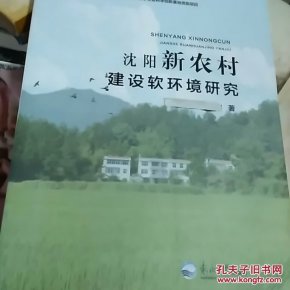 沈阳新农村建设软环境研究