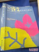 帮孩子成为学习赢家