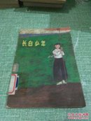 长白少年（一部反映 朝鲜族少年金明植在解放战争初期同敌人斗争的长篇小说  一版一印插图本）