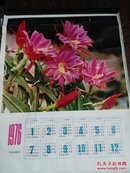 1976年日历（水仙花）