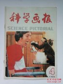 科学画报1985年第4期