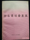 【吴建国旧藏，快递五元】什么是社会主义（作者孙凯飞签名本，一版一印）