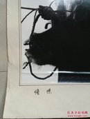 重庆照片 系列（参赛作品，大规格）：潼南县文化馆 羊海毅《憧憬》，如图（实物拍摄图片），