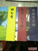 西方现代风景园林设计师丛书： 野口勇，布雷.马克斯，哈格里夫斯