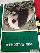 【错版】中国少年儿童百科全书（全4册）